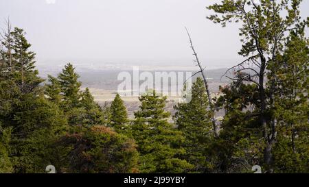 A view of Northern Colorado Springs from Mount Herman, in the Pike National Forest, near the town of Monument, Colo., United States of America. Stock Photo