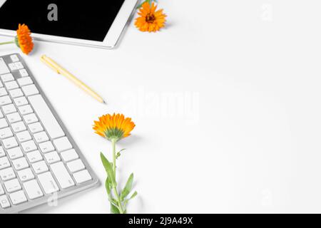 Computer keyboard, pen, flowers and tablet on white background Stock Photo