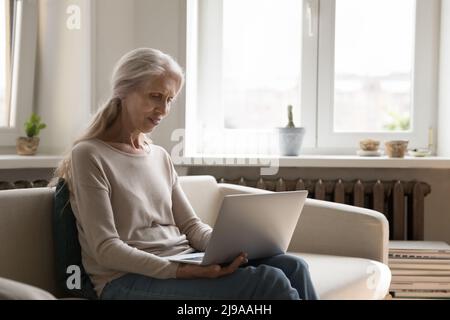 Focused positive retired freelancer working from home Stock Photo
