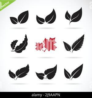 Vector of a leaves icon set on white background. Stock Vector