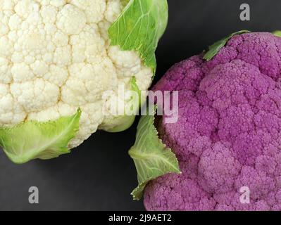 comparson of white and purple cauliflower, top view of different colored vegetables on black background Stock Photo