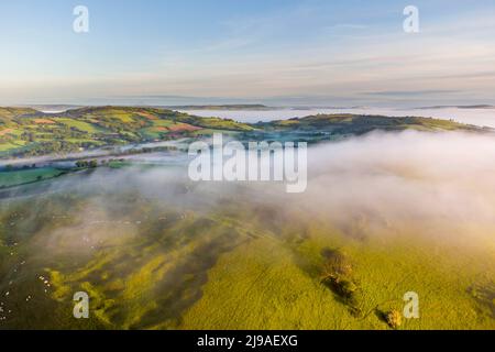 Bridport, Dorset, UK.  22nd May 2022.  UK Weather.  Mist hangs over the hills and in the valleys near Bridport in Dorset shortly after sunrise.  Picture Credit: Graham Hunt/Alamy Live News Stock Photo