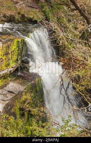 Sgwd Clun-Gwyn (Waterfall of the White Meadow), River Mellte, near Ystradfellte, Brecon Beacons National Park, Powys, South Wales, UK Stock Photo