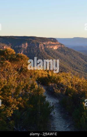 A walking trail in the Blue Mountains of Australia Stock Photo