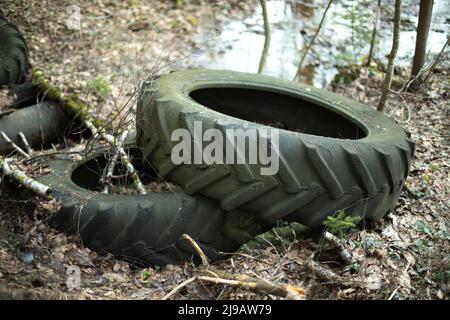 Old tires in landfill. Illegal release of waste into forest. Bad rubber lies on ground. Used wheels. Stock Photo