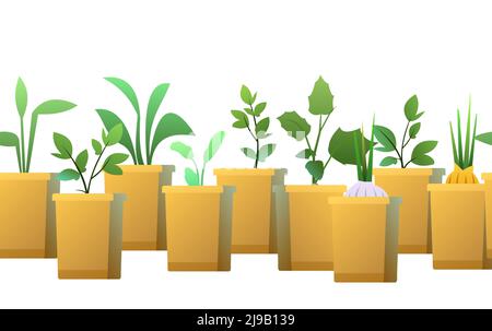 Roots in box. Seedling garden plants. Sowing agricultural material. Bottom seamless horizontal composition border. Vector. Stock Vector