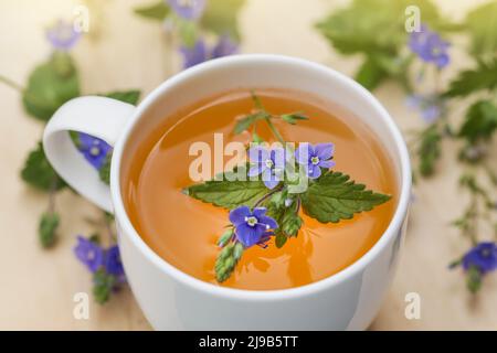 Herbal Tea from Veronica Chamaedrys for Herbal Medicine. Wild Herbal Teas Stock Photo