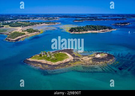 France, Morbihan, Gulf of Morbihan, Les Sept Îles Stock Photo