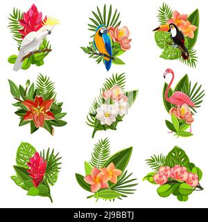 Exotic tropical flowers and birds icons collection with beautiful opulent green foliage arrangements abstract isolated vector illustration Stock Vector