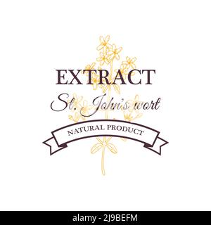 Hand drawn vintage St. John’s Wort extract design isolated on white. Vector illustration in sketch style Stock Vector