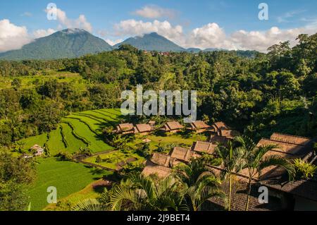 Traditional houses, volcanoes & rice terraces, Pacung, Bali, Indonesia. credit: Kraig Lieb Stock Photo