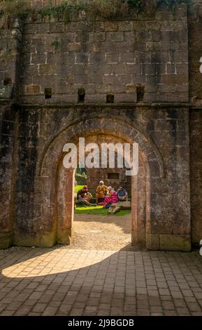 Church Abbey Through Field in Killarney National Park, Co. Kerry ...