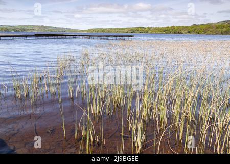 Lough Graney in County Clare, Ireland Stock Photo