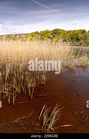 Lough Graney in County Clare, Ireland Stock Photo