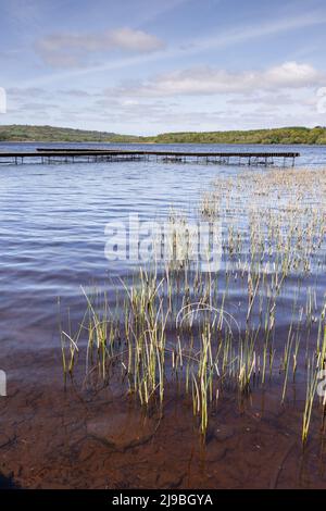 Lough Graney in County Clare, Ireland Stock Photo