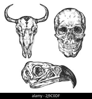 Black isolated hand drawn different types skull icon set on white background vector illustration Stock Vector