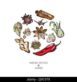 Indian spices herbs composition with isolated colored icon set combined in big round vector illustration Stock Vector