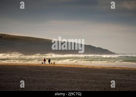 Distant dog walkers walking along the shoreline on Crantock Beach in evening light in Newquay in Cornwall. Stock Photo