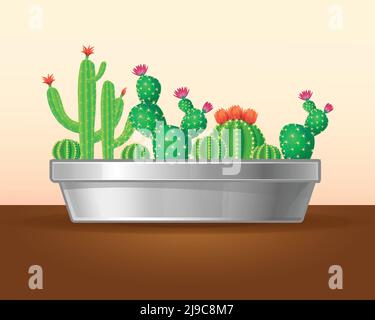 Decorative green plants concept with blooming cactuses and succulents in planter on brown table isolated vector illustration Stock Vector