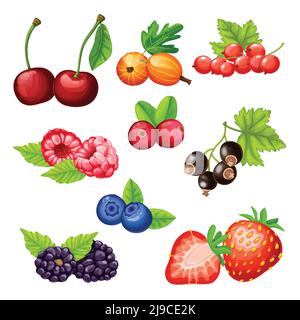 Colorful cartoon berries icons collection with cherry gooseberry strawberry cowberry cranberry bilberry blackberry currant raspberry isolated vector i Stock Vector