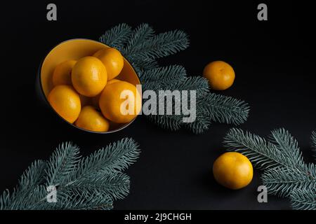 Tangerines with a sprig of spruce on a dark background.  Stock Photo