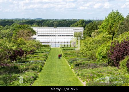 View of the glasshouse in RHS Wisley Garden from the viewing mount, during May, Surrey, England, UK