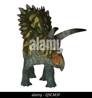 Coahuilaceratops was a herbivorous beaked dinosaur that lived in Mexico during the Cretaceous Period. Stock Photo