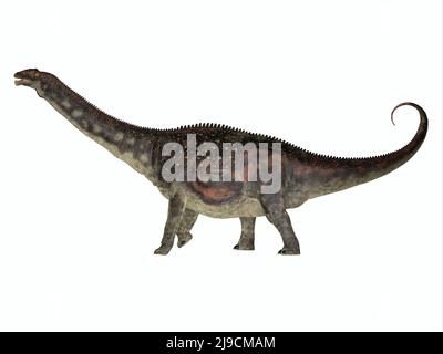 Diamantinasaurus was a herbivorous sauropod dinosaur that lived in herds in Australia during the Cretaceous Period. Stock Photo