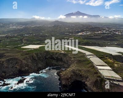 Aerial view banana tree plantation ad top of mount Teide on Tenerife near Garachico, Canary islands, Spain in winter Stock Photo