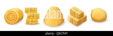 Straw bales isolated Stock Vector