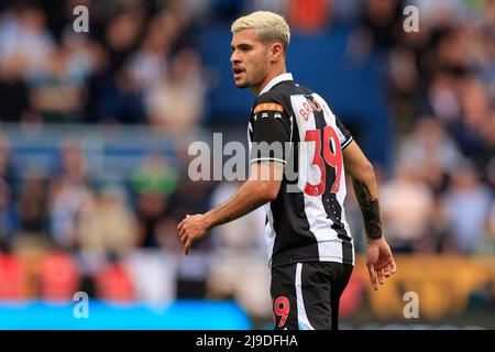 Encadré Bruno Guimaraes 39 Newcastle – Art Insigne & Présentoir Autographe Saison 24/25