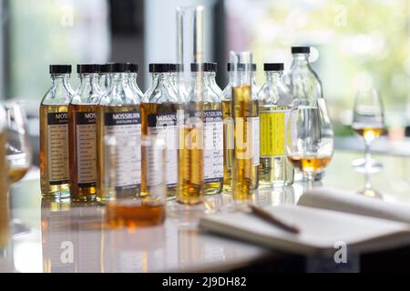 Malt whisky blending. Stock Photo