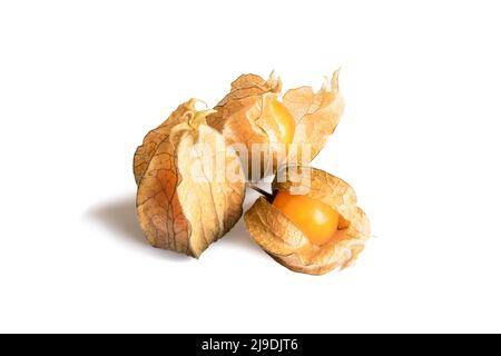 Three physalis fruit isolated on white cut out. Orange physalis berries Stock Photo