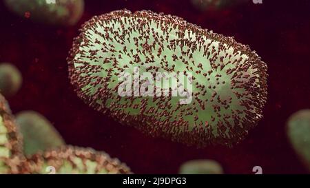 Monkeypox virus, pathogen closeup Stock Photo