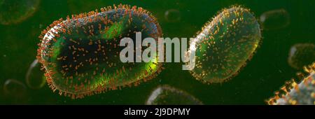Monkeypox viruses, pathogen closeup, infectious zoonotic disease, background banner format Stock Photo