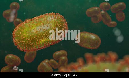 Monkeypox virus, infectious zoonotic disease Stock Photo