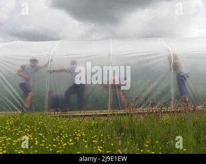 Volunteer members of a Community Supported Agriculture (CSA) project work together as a team to repair a polytunnel on the farm. Cornwall, UK. Stock Photo