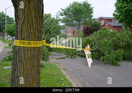 POLICE LINE BARRIER TAPE set up in the area of toppling trees cause by strong winds in a residential district. Stock Photo