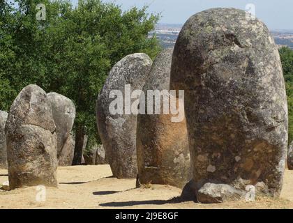 Megaliths in rows at neolithic site, casting shadows with copy space. Stock Photo