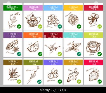 Sketch herbal tea labels collection with different organic healthy natural aromatic ingredients vector illustration Stock Vector