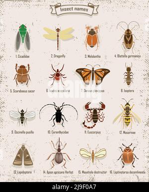 Colorful insects icons set with scientific names of creatures on vintage book page isolated vector illustration Stock Vector