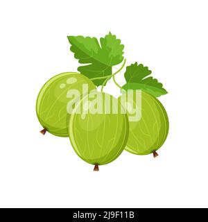 Gooseberry berries with leaves, flat style vector illustration isolated on white background Stock Vector