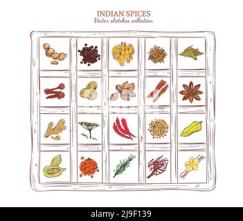 Colored sketch indian spices set with herbs and seeds in wooden frame isolated vector illustration Stock Vector
