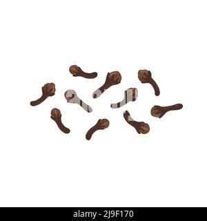 Dried cloves spice, flat style vector illustration isolated on white background Stock Vector