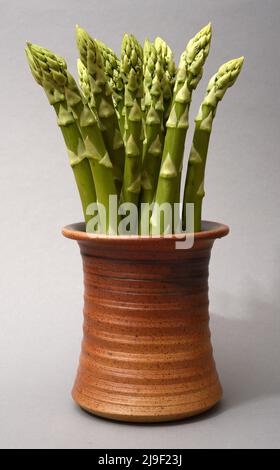 a bunch of asparagus in a ceramic pot on a neutral background Stock Photo