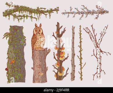 Hand drawn forest trees set with natural branches trunks and owl sitting on stump isolated vector illustration Stock Vector