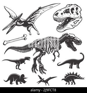 Set of monochrome dinosaurs. Archeology elements. T-rex skull and skeleton. Dinosaurs icons. Stock Vector