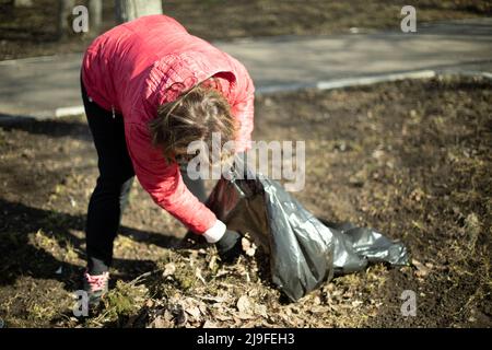 Harvesting leaves in bag. Putting things in order on street. Garbage collection in bag. Stock Photo