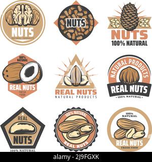Vintage colored organic food emblems set with inscriptions and different tasty natural nuts isolated vector illustration Stock Vector