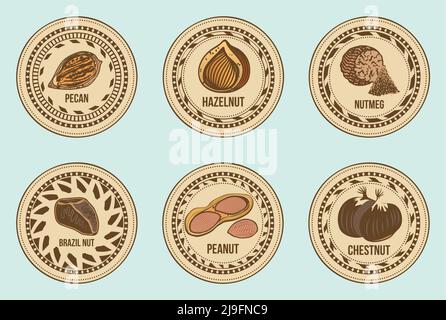 Colorful fresh nuts round labels set with different sorts of seeds on light background isolated vector illustration Stock Vector